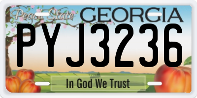 GA license plate PYJ3236