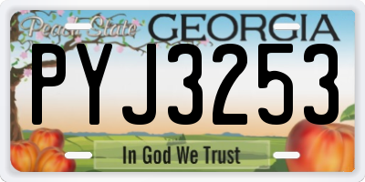 GA license plate PYJ3253