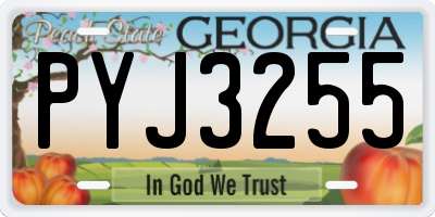 GA license plate PYJ3255