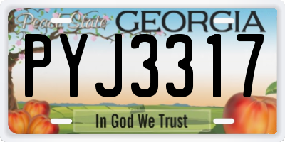 GA license plate PYJ3317