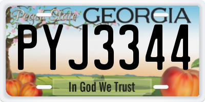 GA license plate PYJ3344