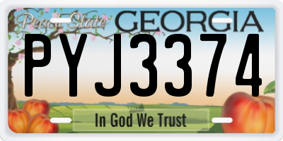 GA license plate PYJ3374