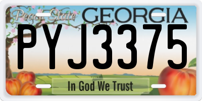 GA license plate PYJ3375