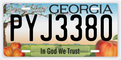 GA license plate PYJ3380