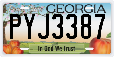 GA license plate PYJ3387