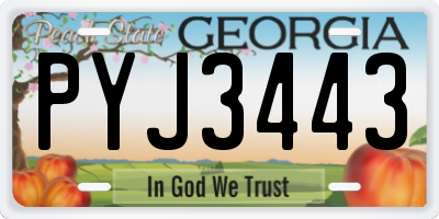 GA license plate PYJ3443