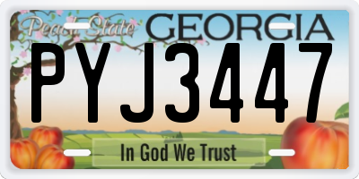 GA license plate PYJ3447