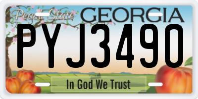 GA license plate PYJ3490