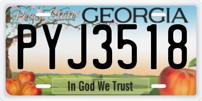 GA license plate PYJ3518