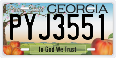 GA license plate PYJ3551