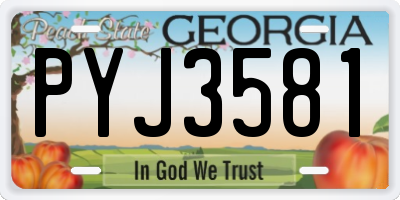 GA license plate PYJ3581