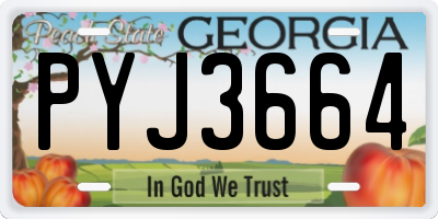 GA license plate PYJ3664