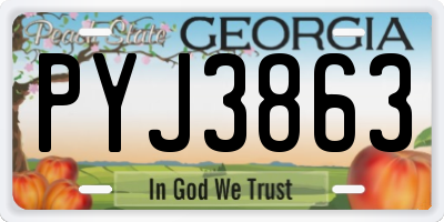 GA license plate PYJ3863