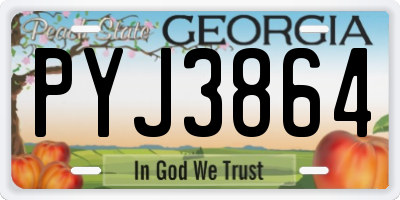 GA license plate PYJ3864