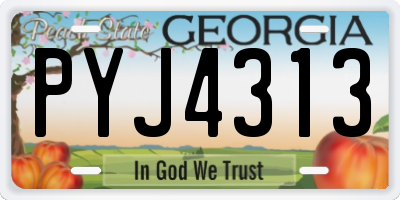 GA license plate PYJ4313