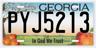 GA license plate PYJ5213