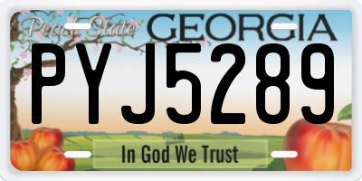 GA license plate PYJ5289