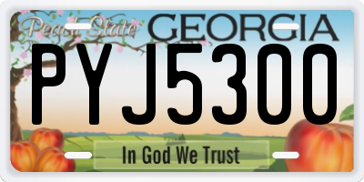 GA license plate PYJ5300