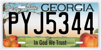 GA license plate PYJ5344