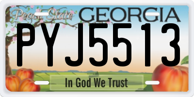 GA license plate PYJ5513