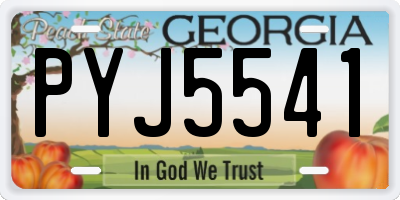 GA license plate PYJ5541