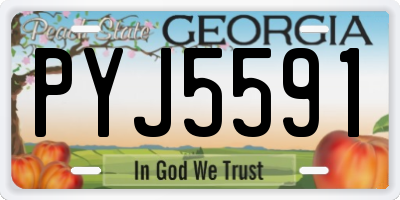 GA license plate PYJ5591