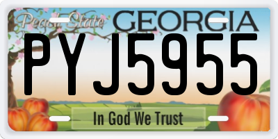 GA license plate PYJ5955