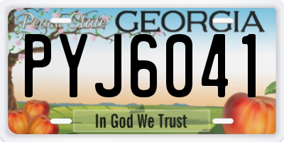 GA license plate PYJ6041