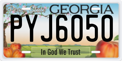 GA license plate PYJ6050
