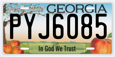 GA license plate PYJ6085