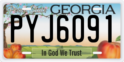 GA license plate PYJ6091