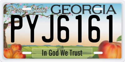 GA license plate PYJ6161