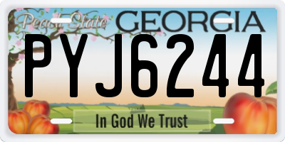 GA license plate PYJ6244