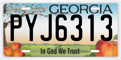GA license plate PYJ6313