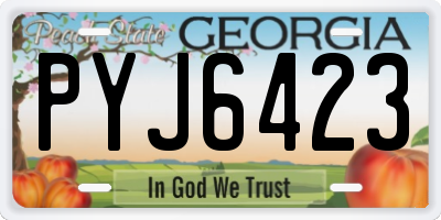 GA license plate PYJ6423