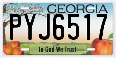 GA license plate PYJ6517