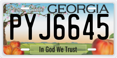 GA license plate PYJ6645