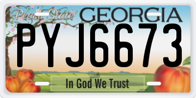 GA license plate PYJ6673