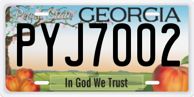 GA license plate PYJ7002