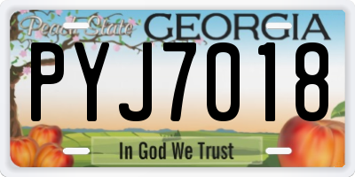 GA license plate PYJ7018