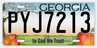 GA license plate PYJ7213