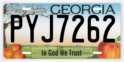 GA license plate PYJ7262