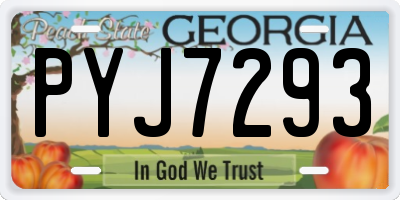 GA license plate PYJ7293