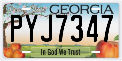 GA license plate PYJ7347