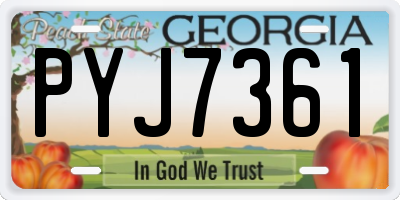 GA license plate PYJ7361