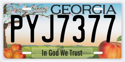 GA license plate PYJ7377