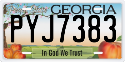 GA license plate PYJ7383
