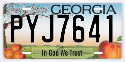GA license plate PYJ7641