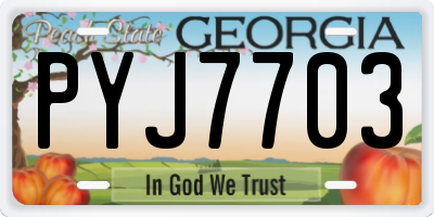 GA license plate PYJ7703