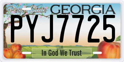 GA license plate PYJ7725